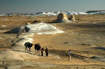 Foto auf Acrylglas Wüste du Sinai © taba sinai