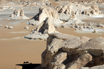 desert blanc © taba sinai