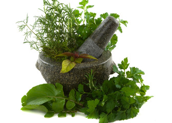 Healing herbs in a granite mortar and pestle