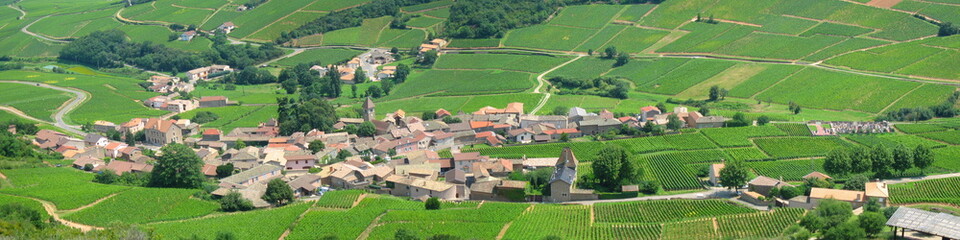 Fototapeta na wymiar un village de bourgogne.