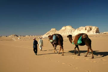 Foto auf Acrylglas Wüste du Sinai © taba sinai
