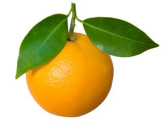 ripe orange with leaf isolated in white
