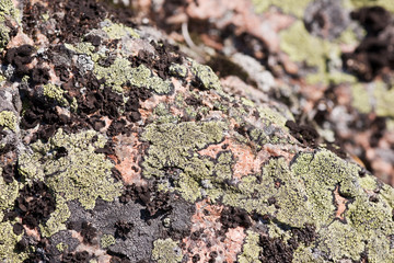 Rock with a green and black lichen