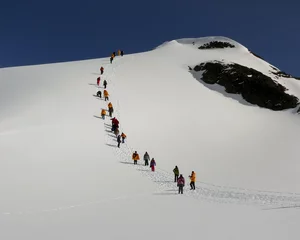 a parade of colorful jackets heading up a hill in antarctica