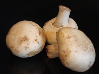 drei champignons