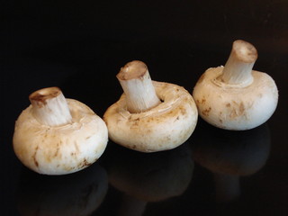 mushrooms in a row