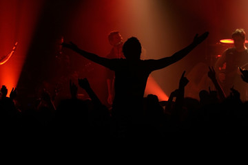 Live concert - the band and the crowd