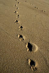 human footprints in the wet sand detail