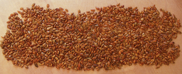 Spiced Pumpkin Seeds