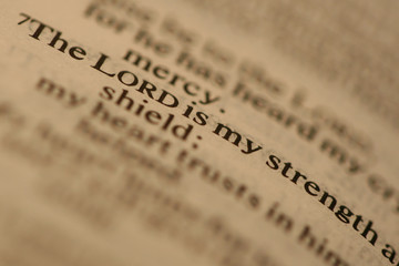 lord is my strength