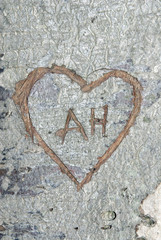AH-Heart