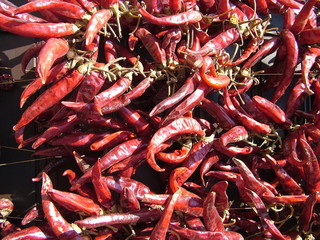 Dried Hot Tasty Chillies in a Market stand