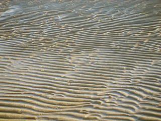 Wet sandy beach with many cleavages