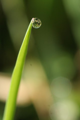 goutte d'eau