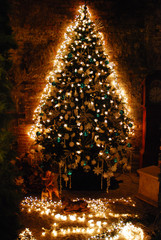 Weihnachtsbaum