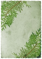 Christmas leaf border - grunge background with leaves