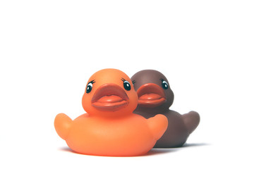 rubber duck