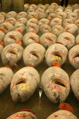 Giant Tuna Auction, Tokyo, Japan