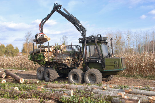 travaux forestier