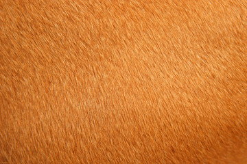 texture