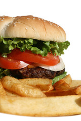 Hamburger and Fries