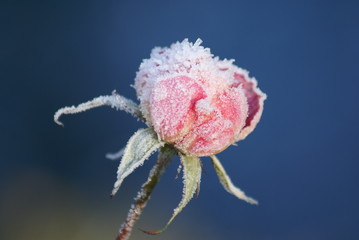 Hiver