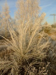 Fototapeta premium Scheibe-See 04