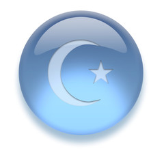 Aqua Icon