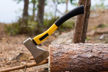 the axe in the fallen pine trunk