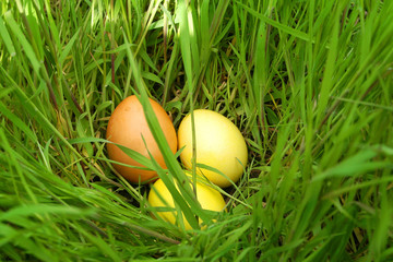 Easter eggs