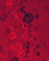 Red blood cells