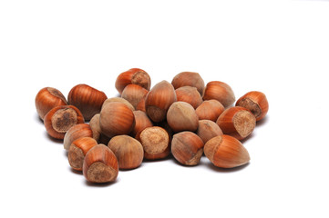 Hazelnuts isolated