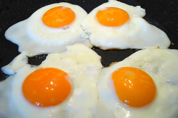 Four fried eggs closeup