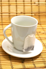 Tea cup with tea bug