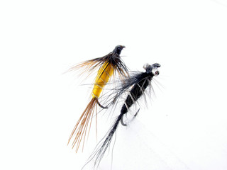 Fly fishing