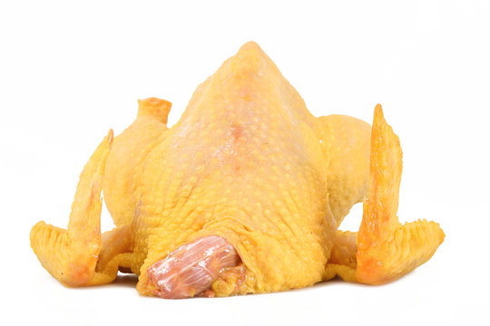 pollo