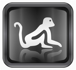 Monkey Zodiac icon, isolated on white background.