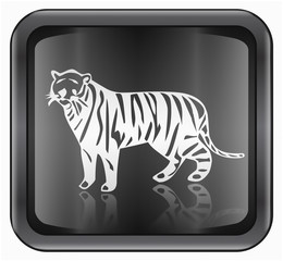 Tiger Zodiac icon, isolated on white background.