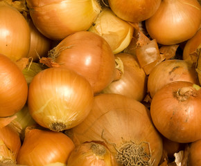 The backgound of onions