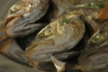 Gegrillter Fisch