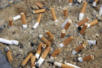 Cigarette et santé
