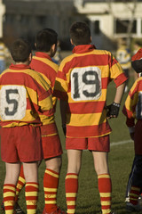 Fototapeta premium Rugby 14