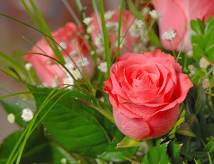 Bouquet of roses. A composition from gentle pink roses