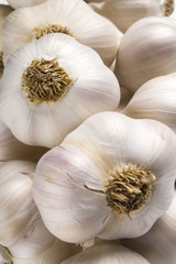 closeup of garlic bulbs