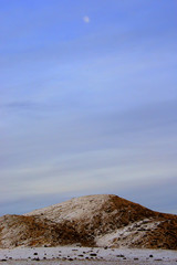winter forest road covered with snow