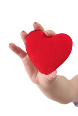 Fototapeta premium Red heart in female hands on a white background