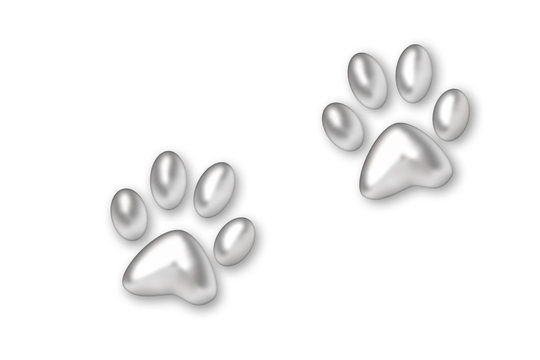 silver trace from paws animal