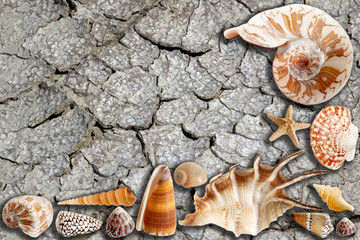 An image of ground cracked because of heat