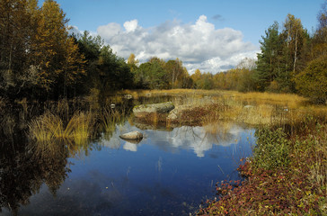 Autumn landscape at wood lake