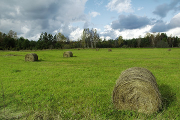 Haystack on a meadow
